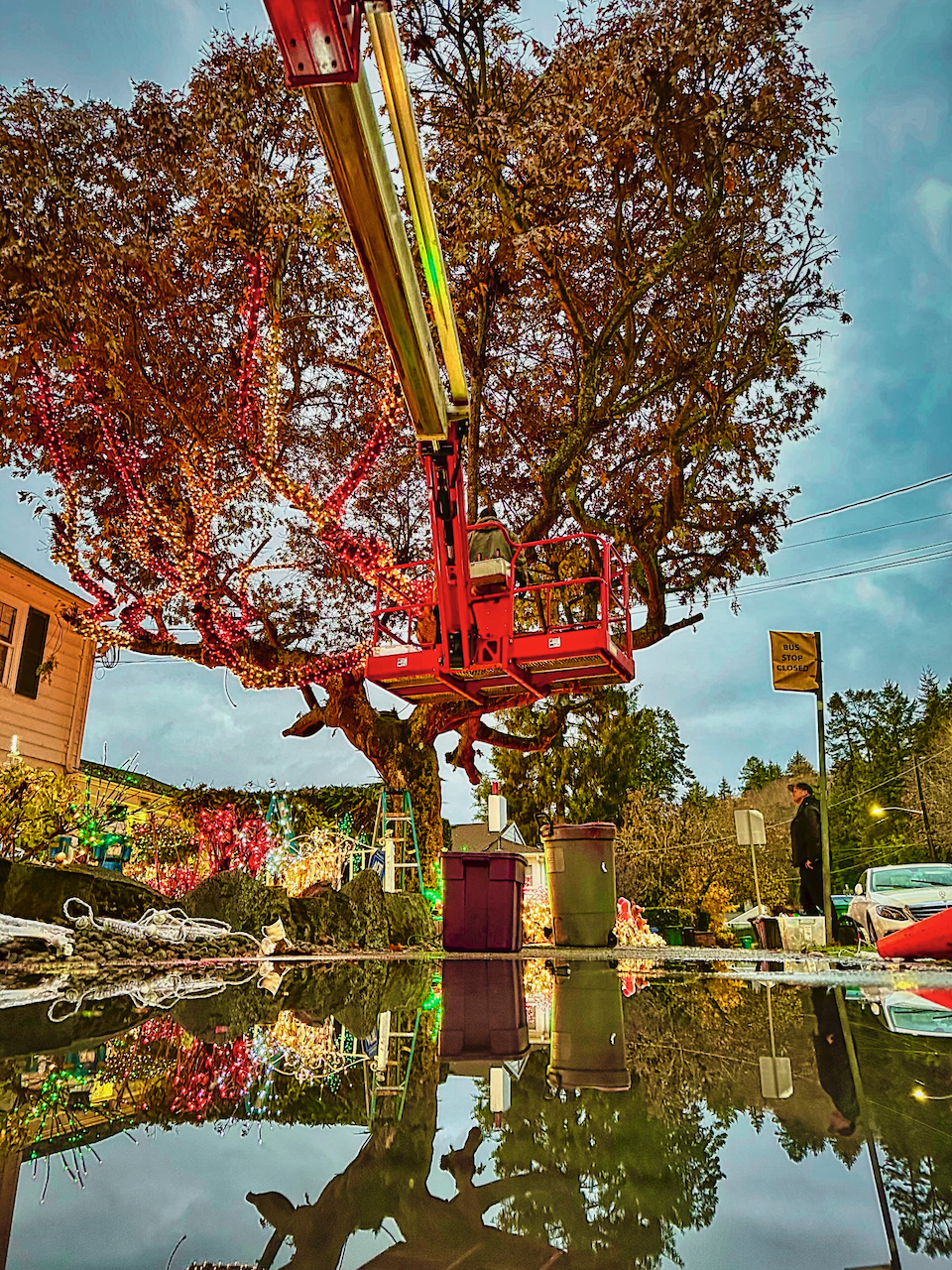 Famous Menashe Christmas display going up; Dec 1 they go live